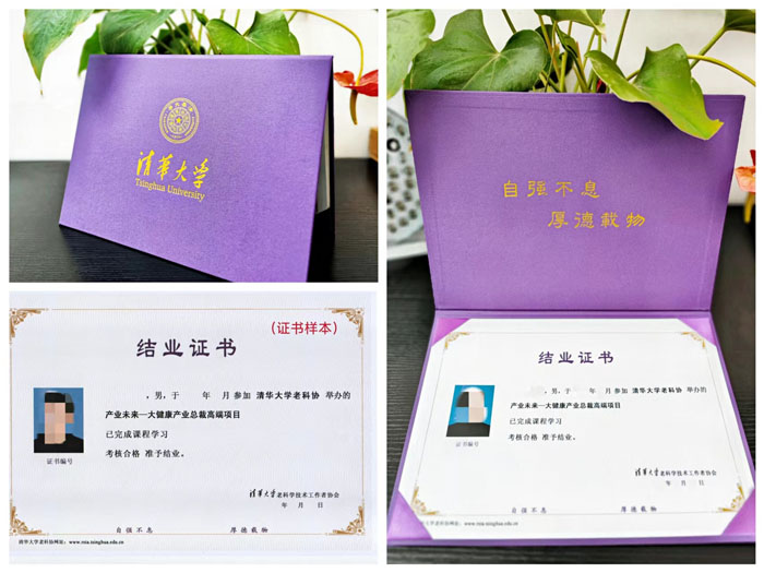 清華大學大健康產(chǎn)業(yè)總裁班結(jié)業(yè)證書樣本圖片